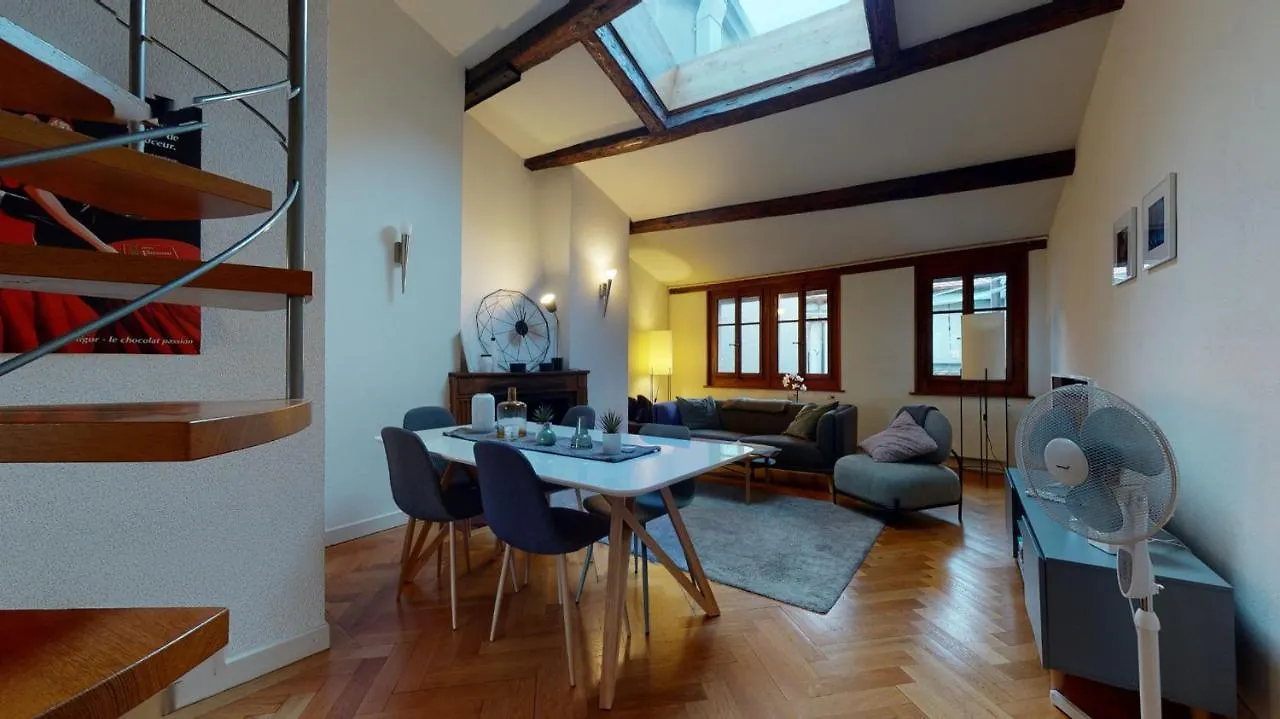 Modern Apartment With A View Of The Jet D'Eau Geneva Switzerland