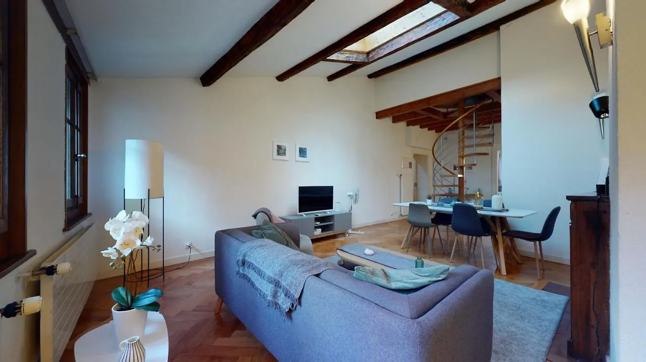 Modern Apartment With A View Of The Jet D'Eau Geneva Switzerland
